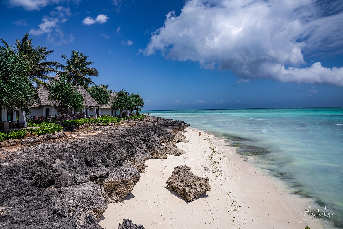 White thatched bungalows and palm trees on a coral cliff above a pale sand beach, with turquoise sea and a large cumulus sky, and one person walking in the shallows.