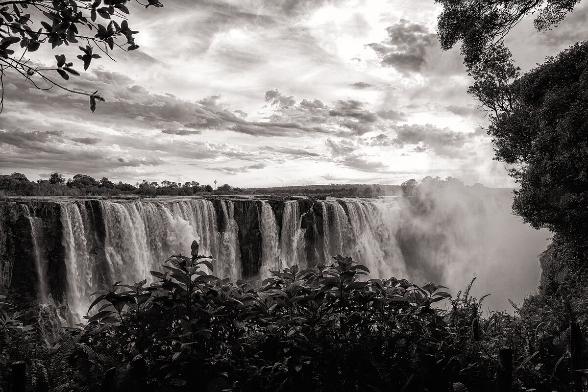 Black-and-white photograph of Victoria Falls through leaves, contrasting dark rock with bright falling water and mist.