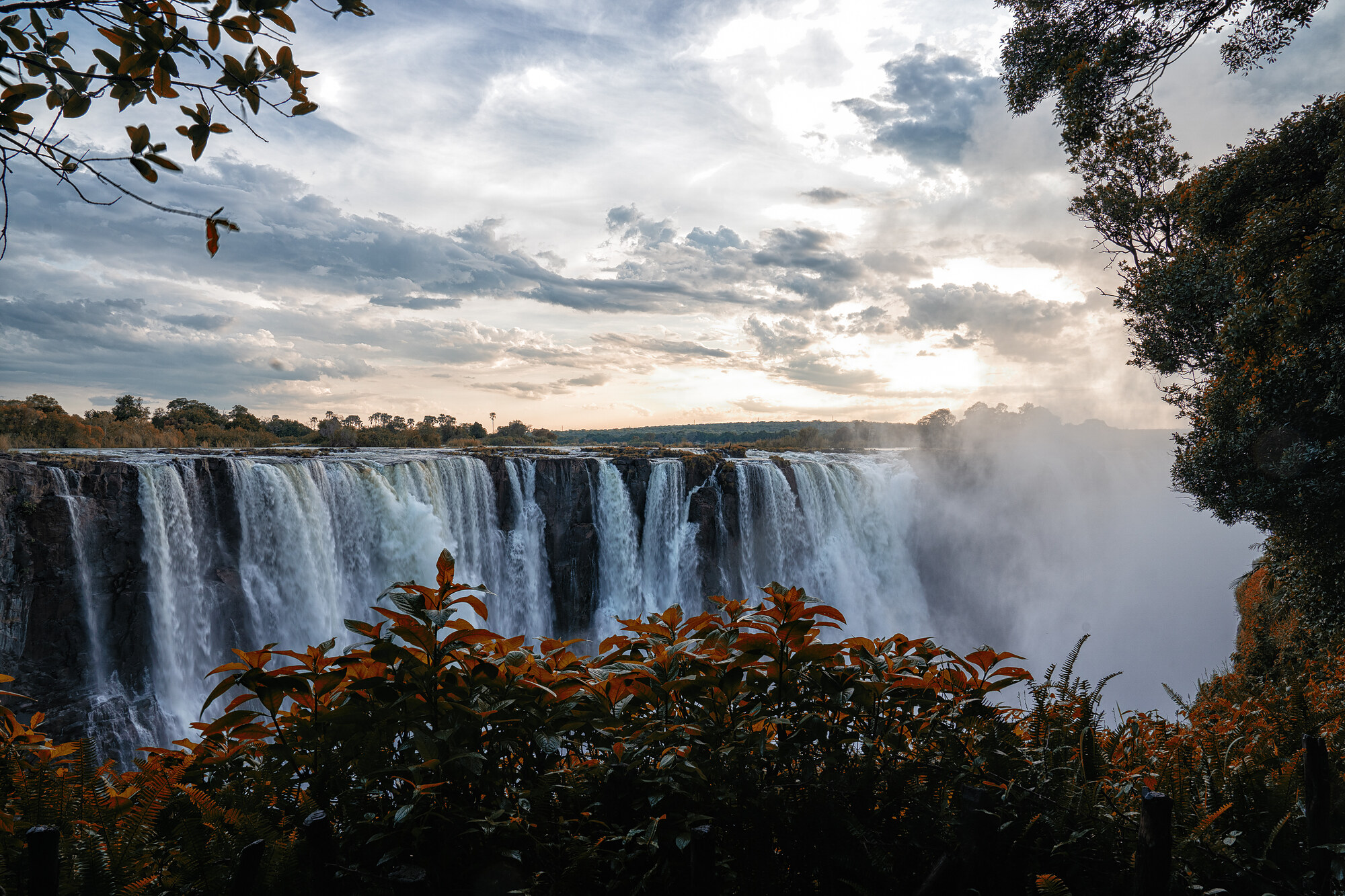 Victoria Falls seen through foreground leaves - a broad band of white water and mist against a dark cliff under an overcast sky.