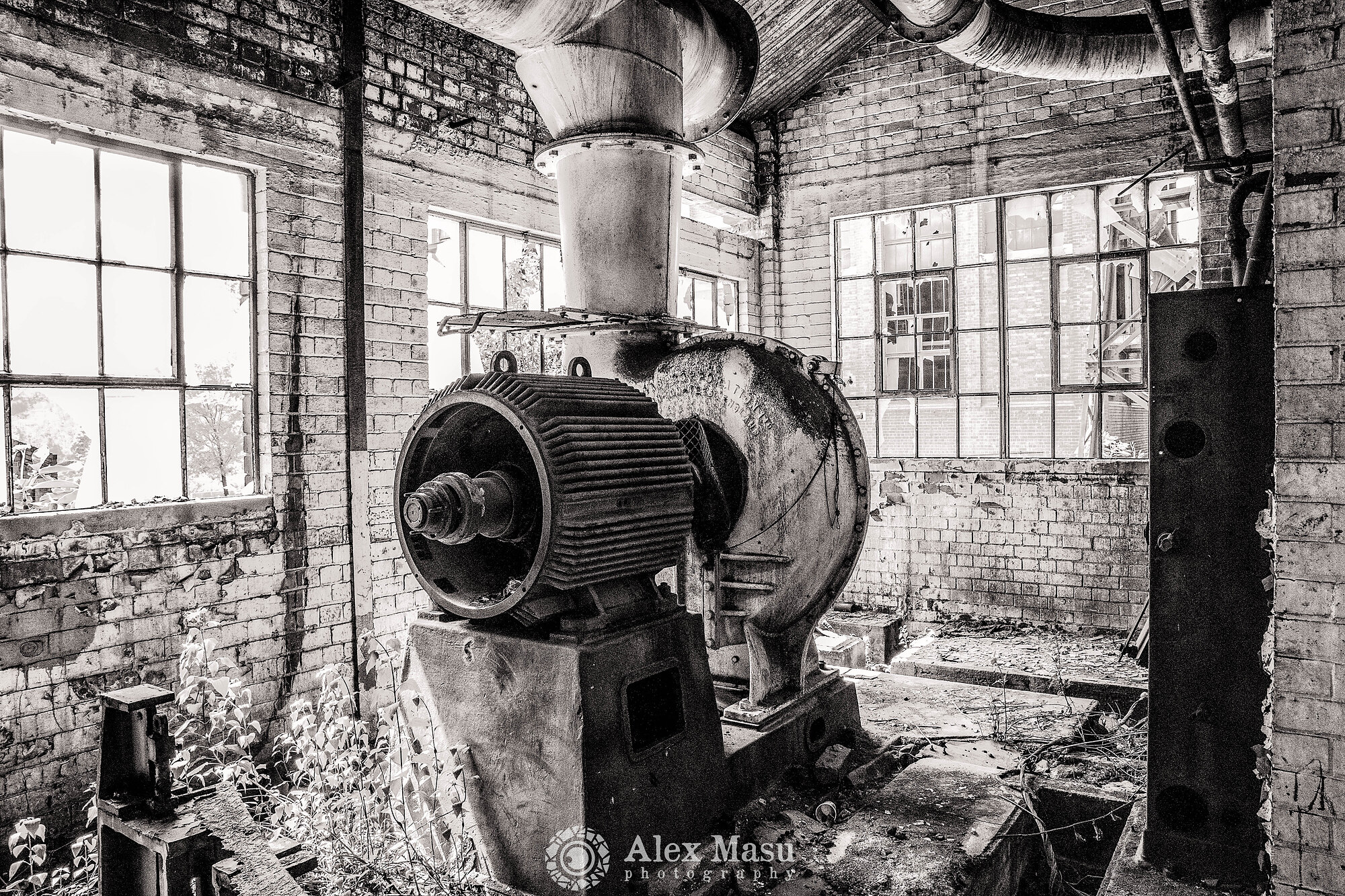 Pump overgrown