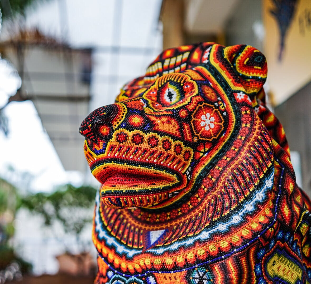 Photograph taken in the Yucatán Peninsula, Mexico, May 2018.